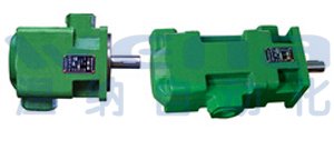 YB1-100/25,YB1-80/2.5,YB1-63/2.5,双联叶片泵,温纳双联叶片泵生产厂家